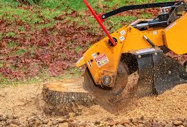Best Tree Preservation Services  in Nesquehoning, PA