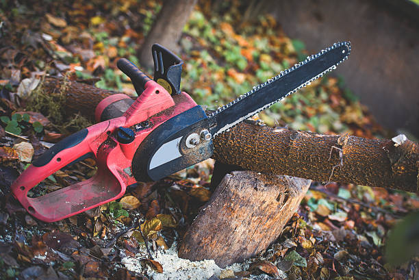 Best Utility Line Clearance  in Nesquehoning, PA